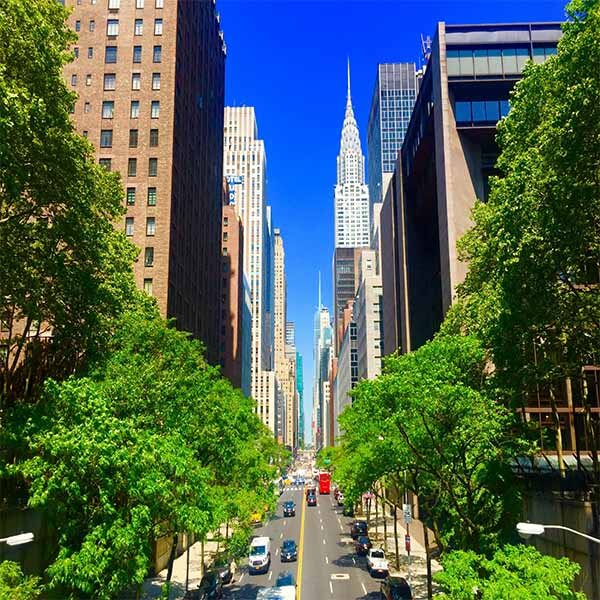 flights to new york